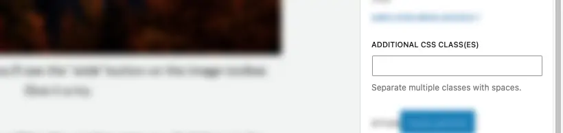 WordPress classes options