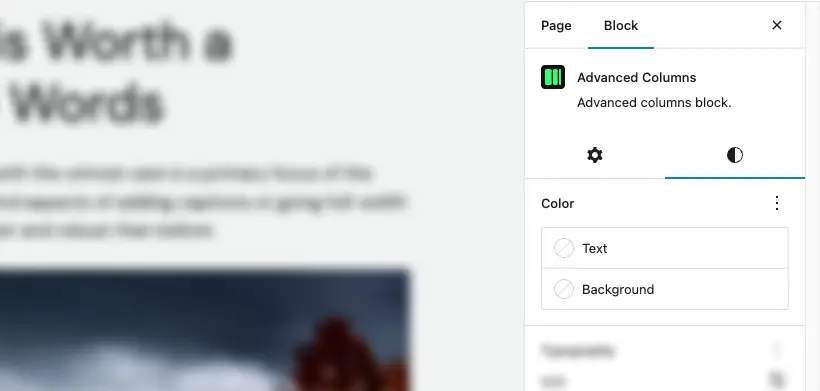WordPress colors options
