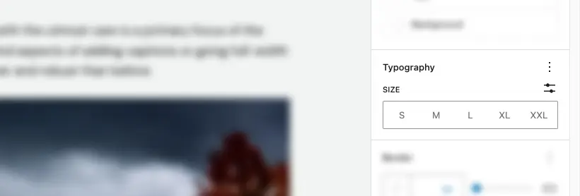 WordPress typography options